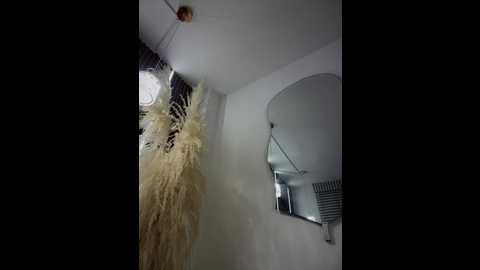 anita_vega @ stripchat on 20251124