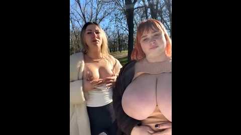 bigboobsdream99 @ stripchat on 20251124