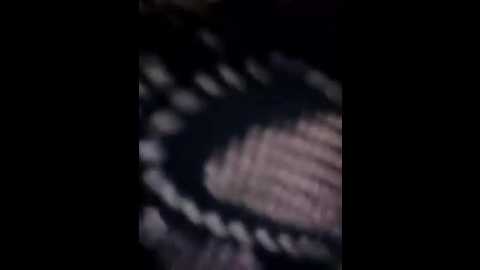 kylie_blck @ stripchat on 20251124