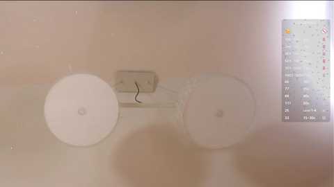 leonabelhumeur @ stripchat on 20251124