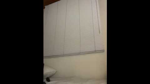 oh_nina @ stripchat on 20251124