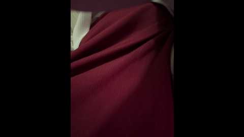 pumashyxd @ stripchat on 20251124