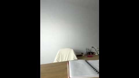 streetdoll @ stripchat on 20251124