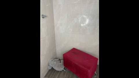 the_crazysex @ stripchat on 20251124