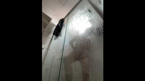 totoquinha_cardoso @ stripchat on 20251124