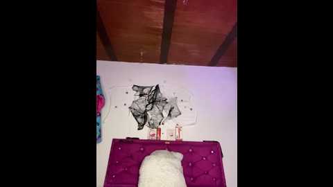 annaa_hott @ stripchat on 20251125