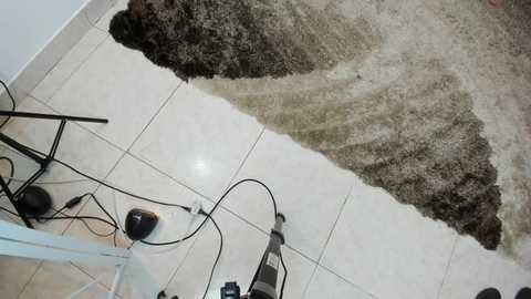 brutal_primium @ stripchat on 20251125