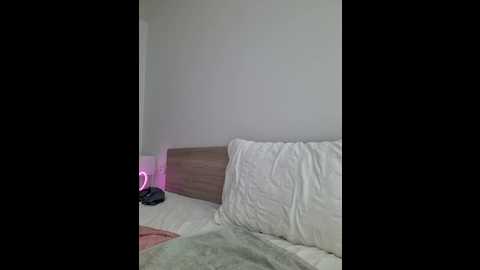 luna_veil @ stripchat on 20251125