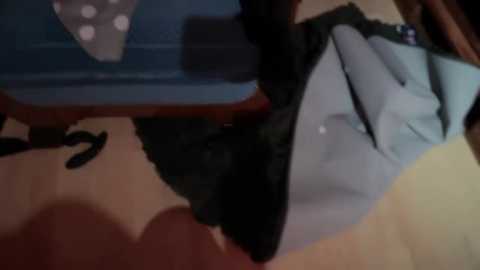 redlayla @ stripchat on 20251125