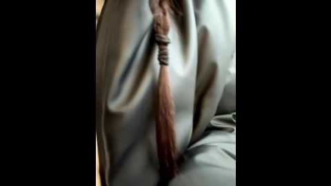 snappyhappy @ stripchat on 20251125