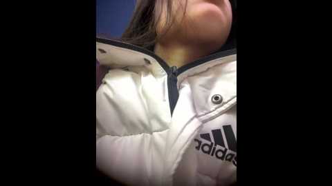 tiantiandao @ stripchat on 20251125