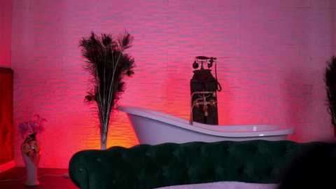 aishaadevoe @ stripchat on 20251126