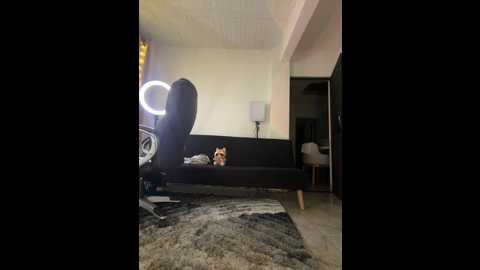 aly_golden_ @ stripchat on 20251126