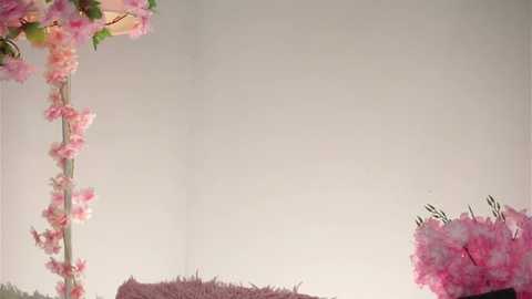 amilewis @ stripchat on 20251126