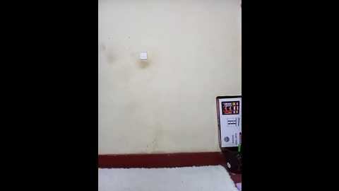 belindalexy @ stripchat on 20251126