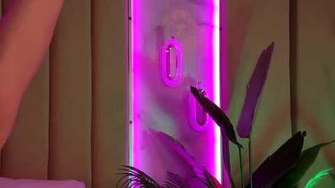 bellasecrett @ stripchat on 20251126