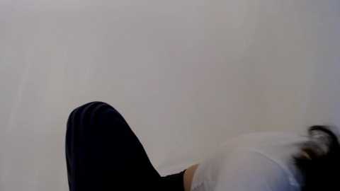 bellefleurrr @ stripchat on 20251126