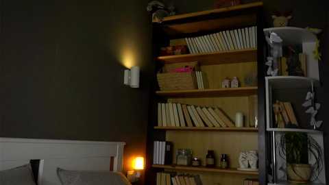 darylbarks @ stripchat on 20251126