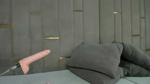 eva_lim @ stripchat on 20251126