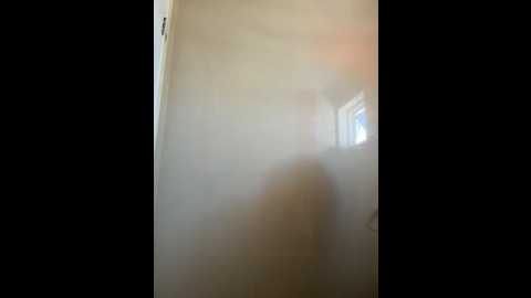 evvamur @ stripchat on 20251126