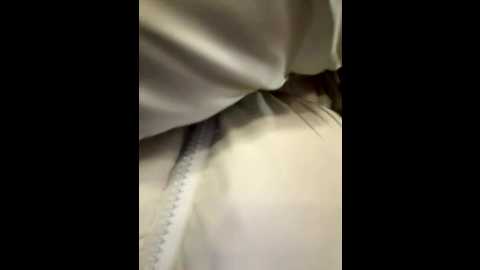 froggyanna @ stripchat on 20251126