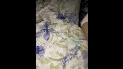 hamza_maroc @ stripchat on 20251126