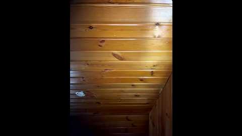 hotmia666 @ stripchat on 20251126