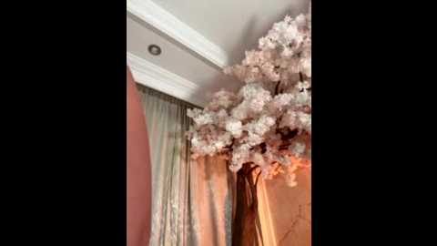 jesse_veraa_ @ stripchat on 20251126