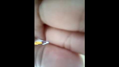 mehboob_khan11 @ stripchat on 20251126