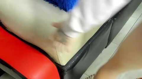 miacam_hot @ stripchat on 20251126