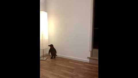 mrskarmaa @ stripchat on 20251126