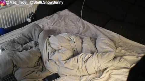 steffi_snowbunny @ stripchat on 20251126