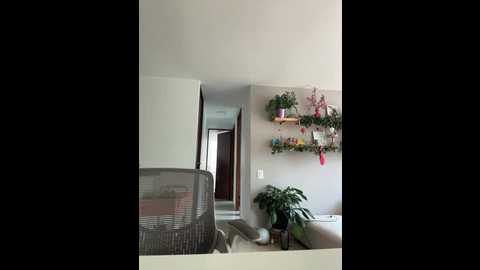 sugartroubl33 @ stripchat on 20251126