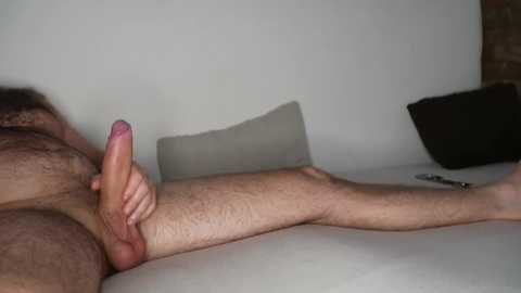 davids_angels @ stripchat on 20251127