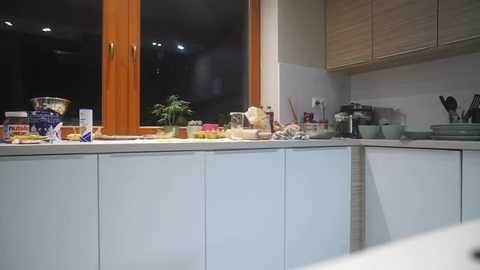 steffi_snowbunny @ stripchat on 20251127