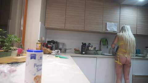 steffi_snowbunny @ stripchat on 20251127