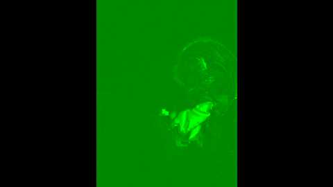 xvalerie22 @ stripchat on 20251127