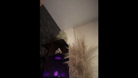 alexandra_duque @ stripchat on 20251128