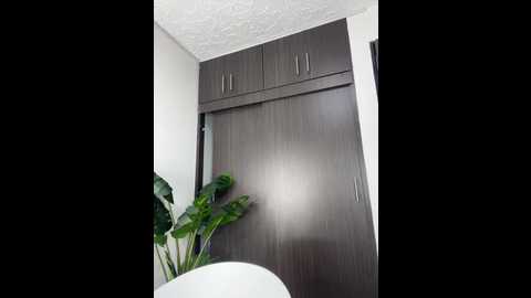 cherrysmirkxxx @ stripchat on 20251128