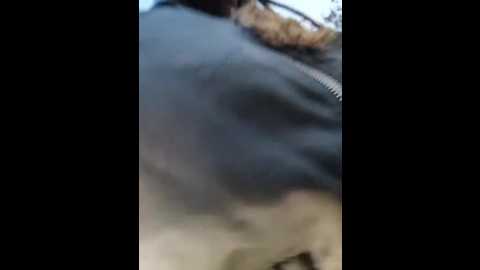 darkdea @ stripchat on 20251128