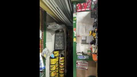 madame_arlette @ stripchat on 20251128