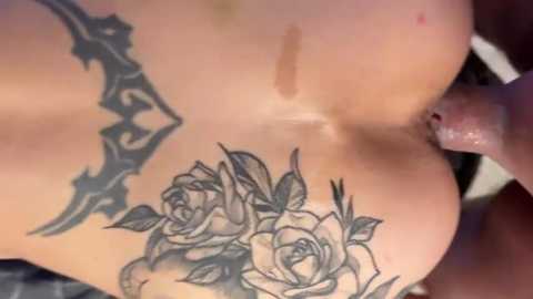 missalexa09 @ stripchat on 20251128