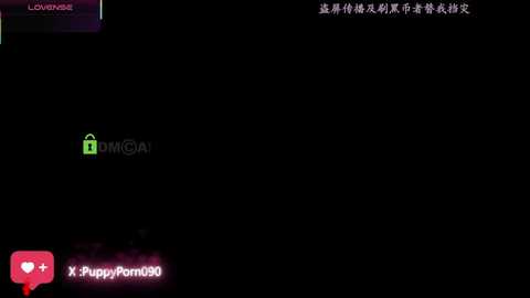 nide_xiaogou @ stripchat on 20251128