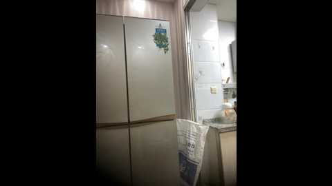 tiantiandao @ stripchat on 20251128