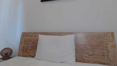 amelialorenz @ stripchat on 20251129