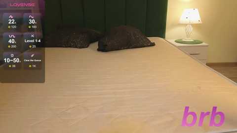 bonnie_white @ stripchat on 20251129