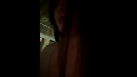 chenyu0308 @ stripchat on 20251129