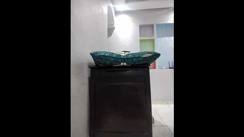 dalou3a_69 @ stripchat on 20251129