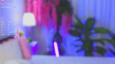 evahair @ stripchat on 20251129