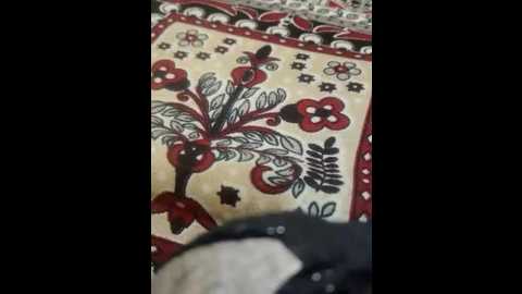 hot_modal @ stripchat on 20251129